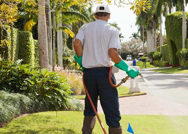 About Aston PA Pest Control Pros